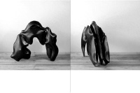 thomas kühnapfel: skulpturen / 21x28cm / 68 p. / pan kunstforum / 2003